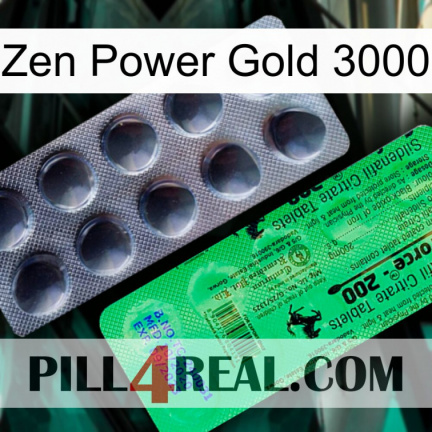 Zen Power Gold 3000 new04